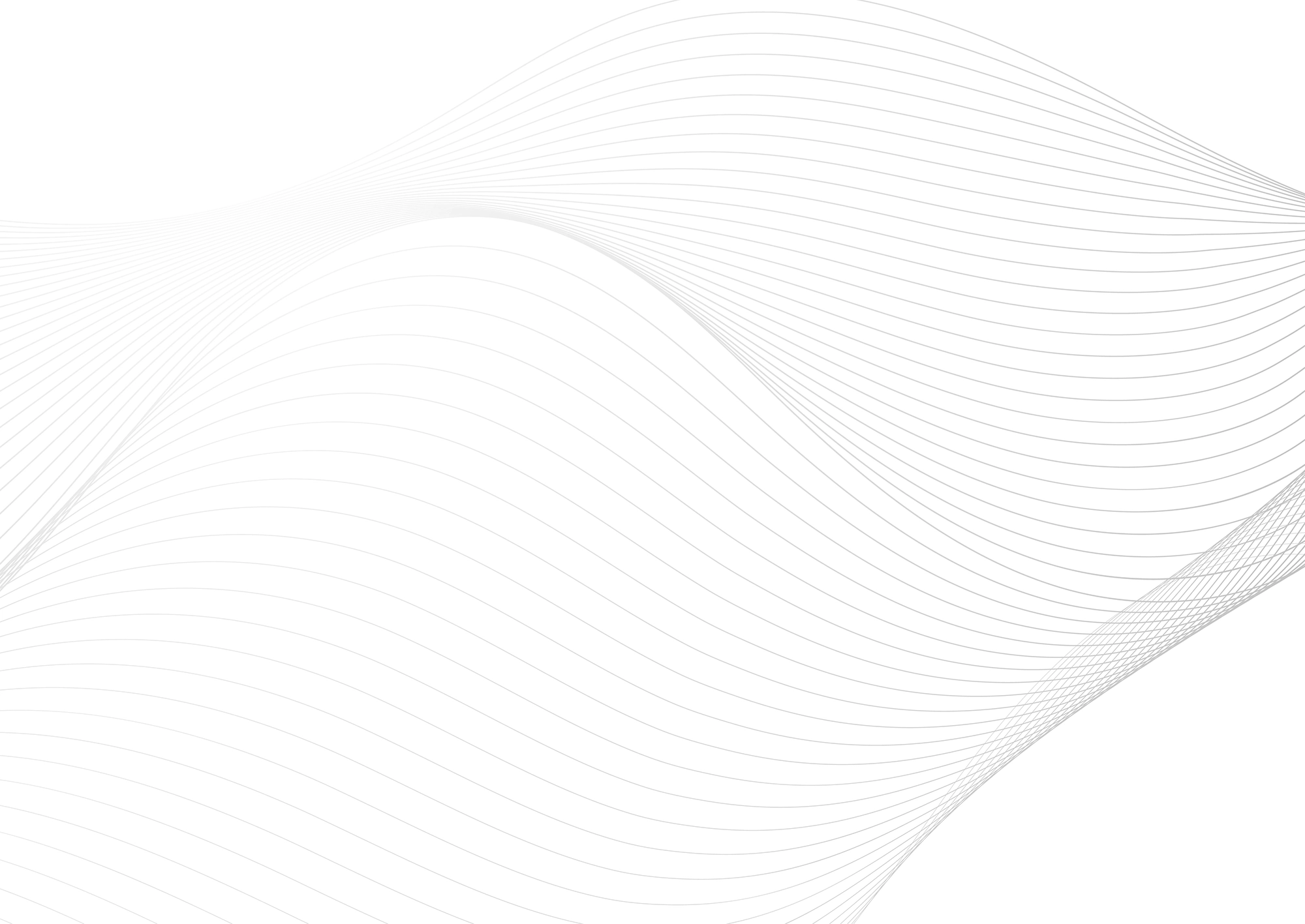 Web Site Tasarımcısı, Çınarcık