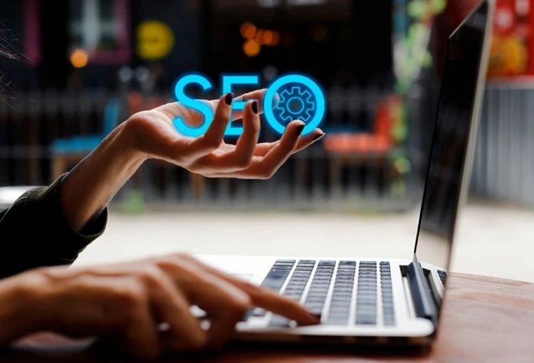 Çınarcık Web Site Tasarımcı