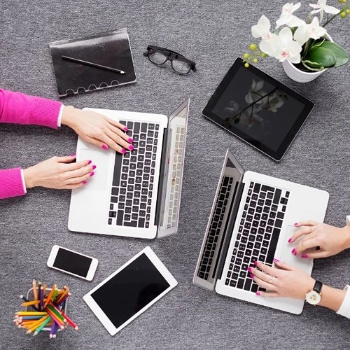 Çınarcık Web Tasarımcı